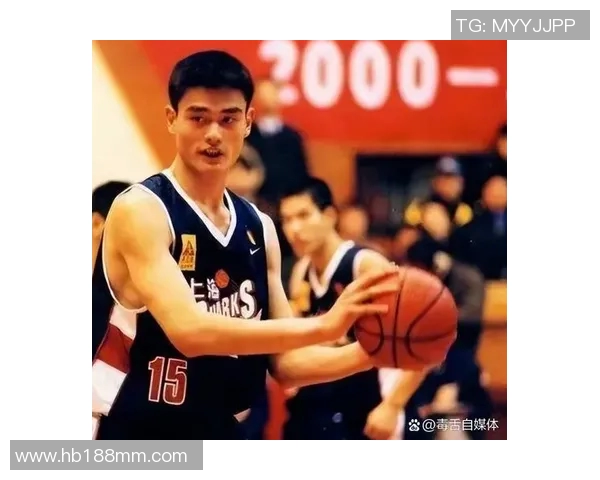 姚明传奇字幕背后的故事与篮球梦想的追逐之旅